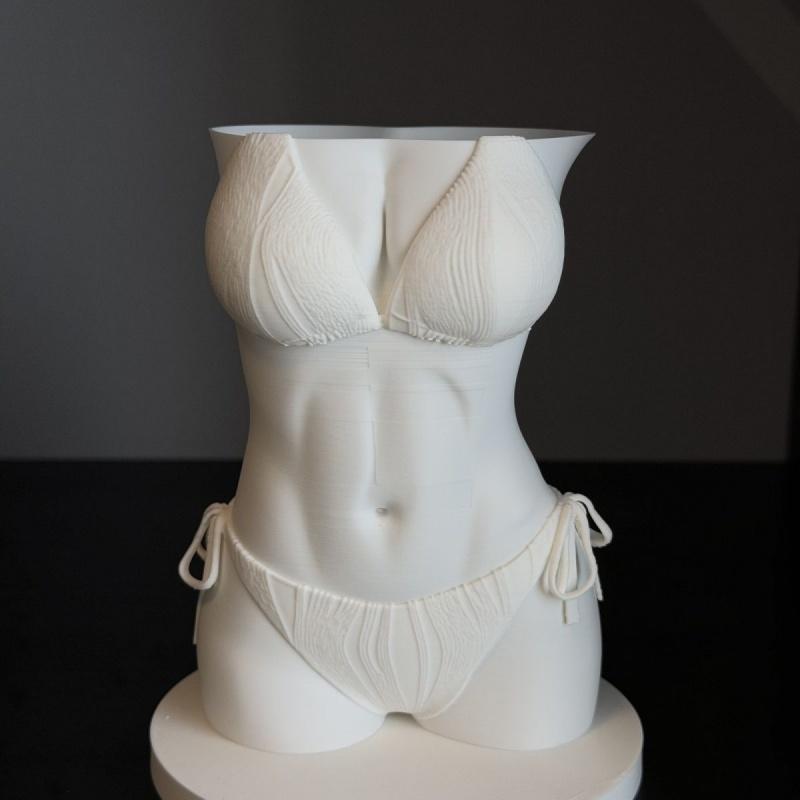 Bikini Body Pen Holder 3D Prin - 3D Printing Pen For Adults 评论和价格